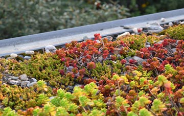 the cost of Chapmanslade green roof installation