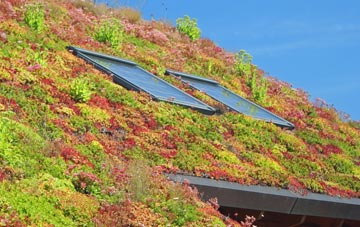Chapmanslade living roof systems