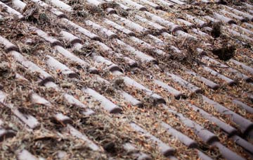 Chapmanslade roof cleaning companies