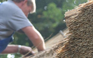 professional Chapmanslade thatchers