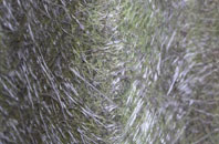 Chapmanslade fibreglass roof work